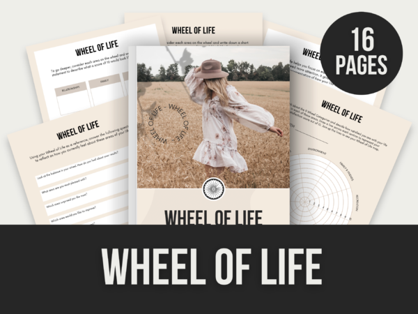 65f765ee524bc_WheelOfLifeUpstriderPLR